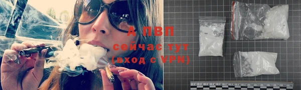 гашик Вяземский
