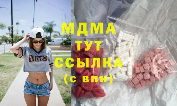 гашик Вяземский