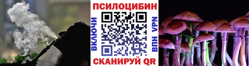 Купить где  Нерехта  Галлюциногенные грибы GOLDEN TEACHER 